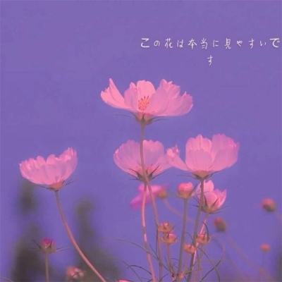 注册就送38的平台下载手机版